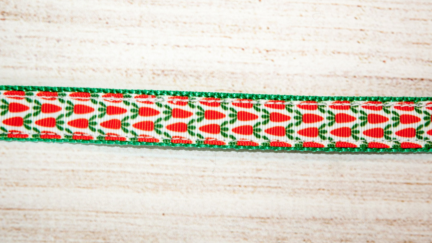 Carrot Dog collar and/or leash. 3/4 inch wide
