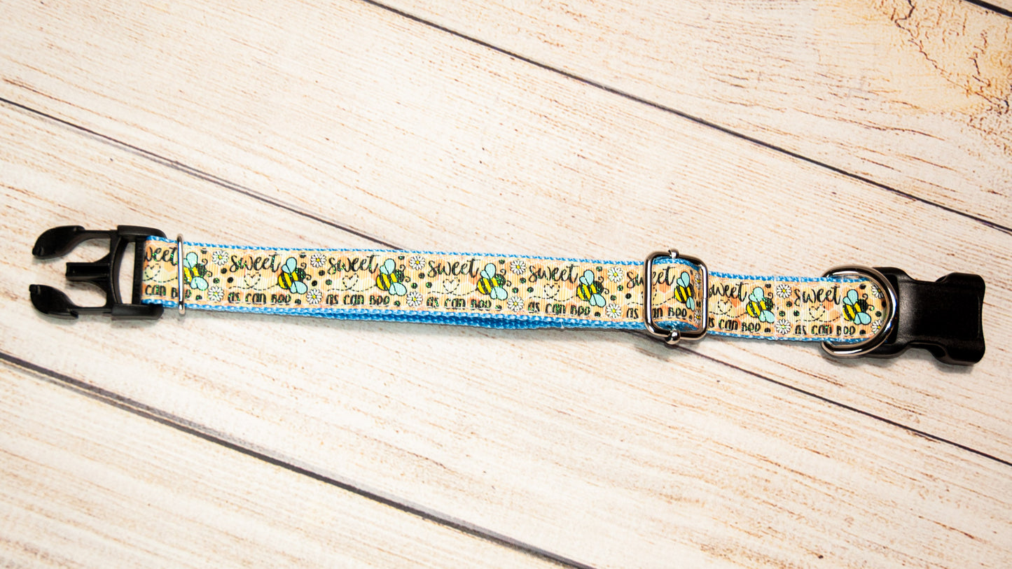 Sweet as Can Bee dog collar and/or Leash. 1 inch wide