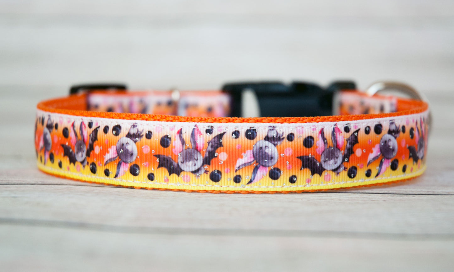 Cute little bat Halloween dog collar with a candy corn colored background. 1"wide