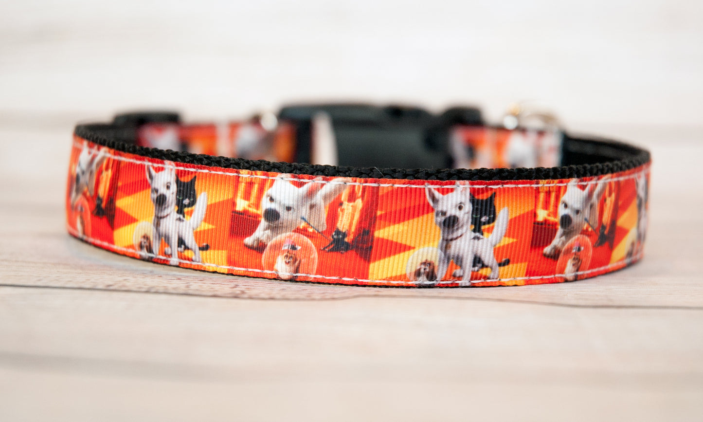 Bolt dog collar, White Dog dog collar and/or leash, 1" wide