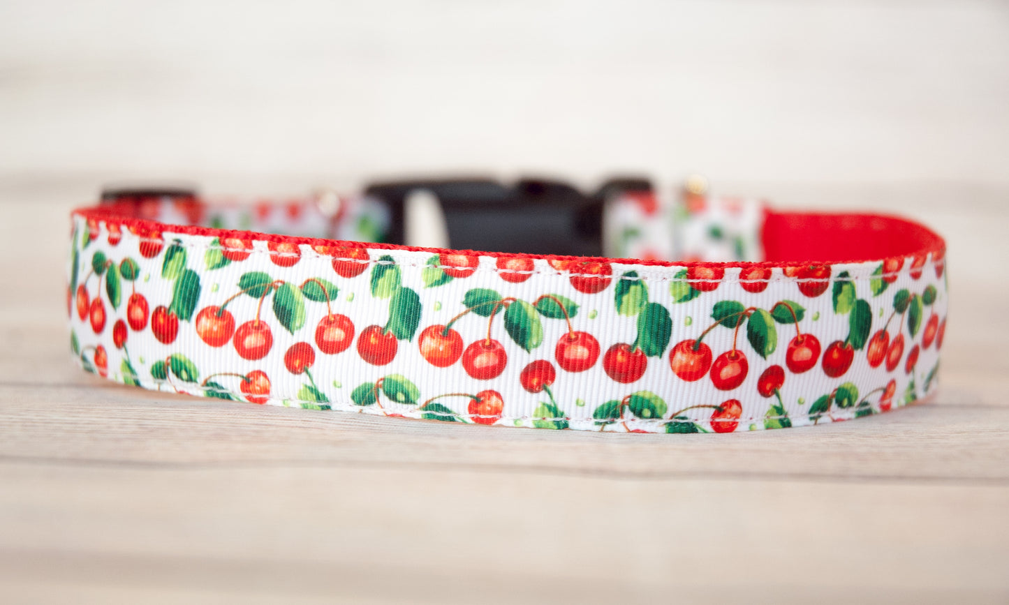 Cherry dog collar and/or leash. 1" wide