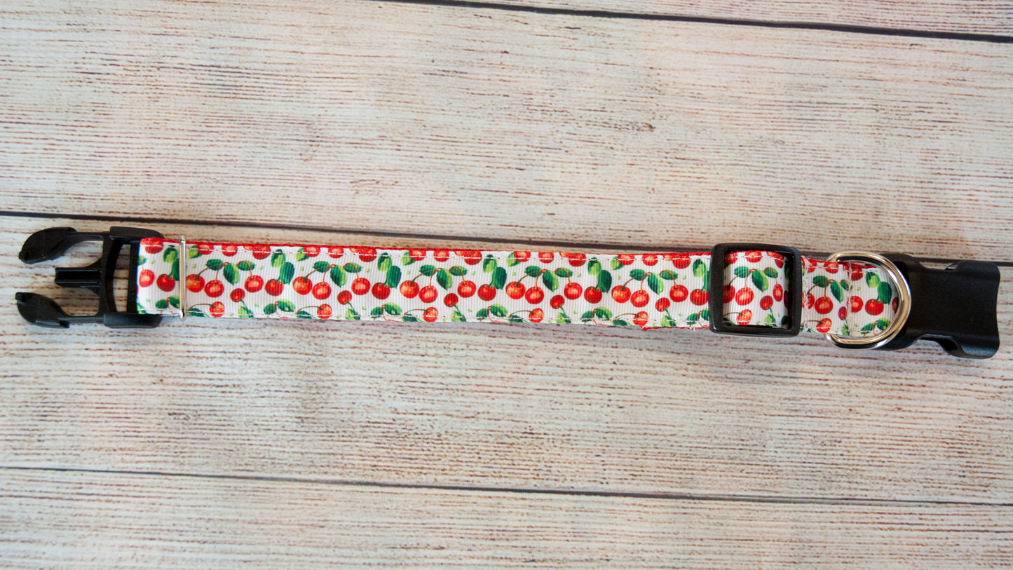 Cherry dog collar and/or leash. 1" wide