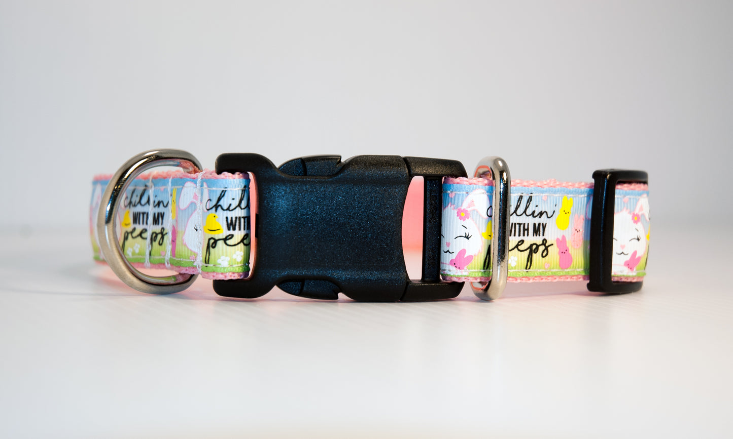 Chillin' with my Peeps dog collar. 1 " wide