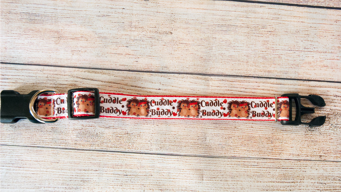 Cuddle Buddy Hedgehog collar and/or leash. 1"wide