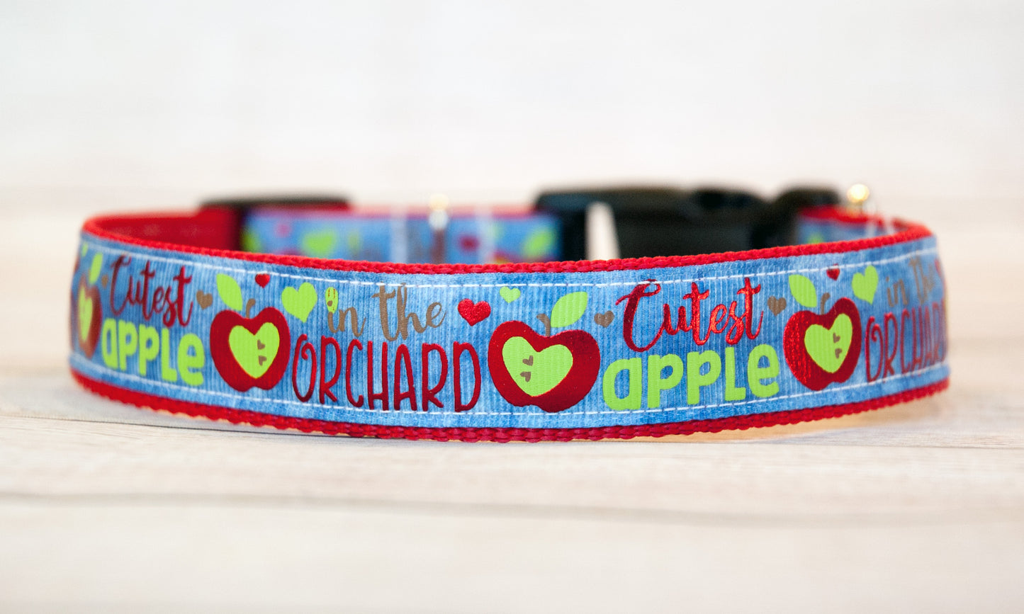 Cutest Apple in the Orchard dog collar and/or leash. 1" wide