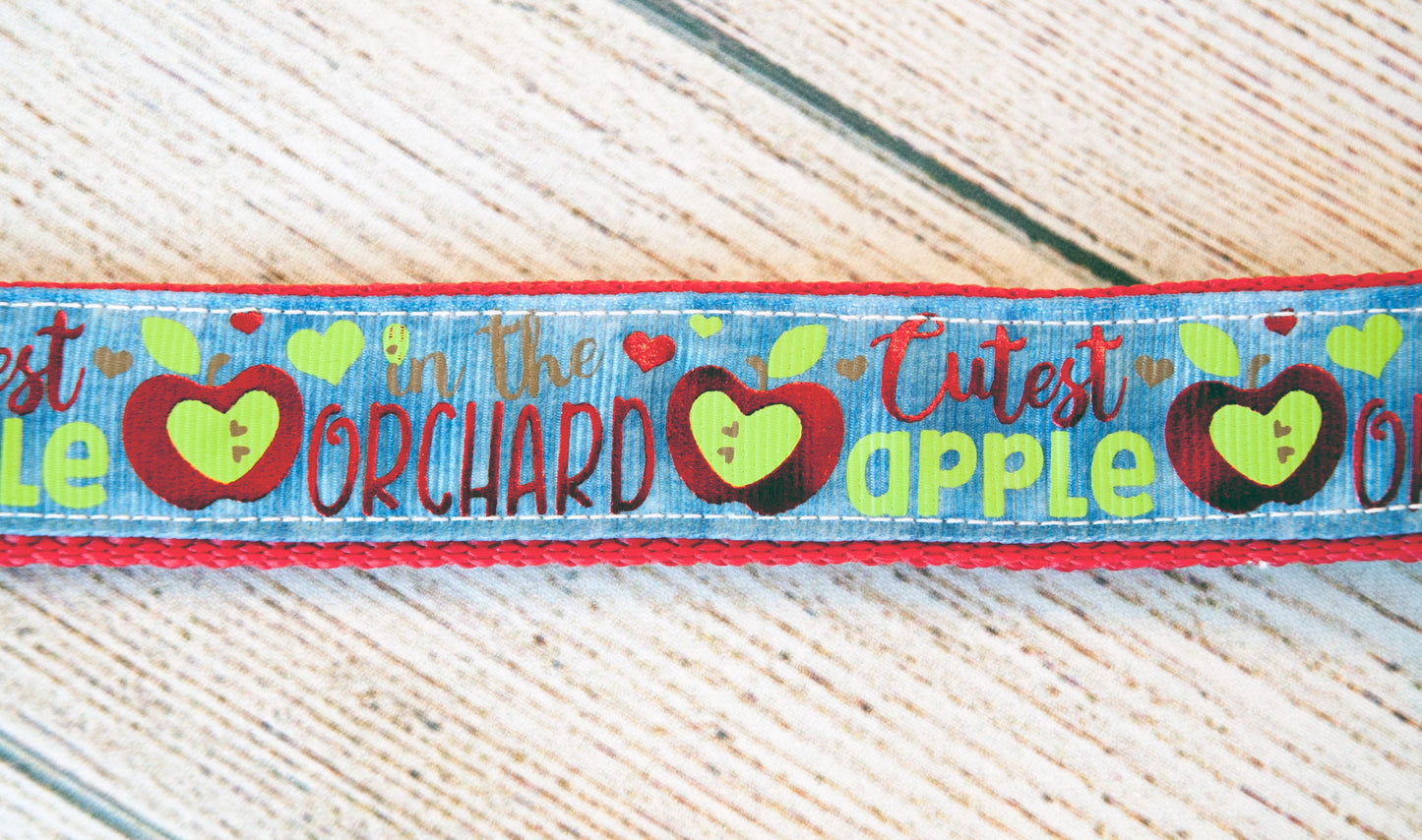 Cutest Apple in the Orchard dog collar and/or leash. 1" wide