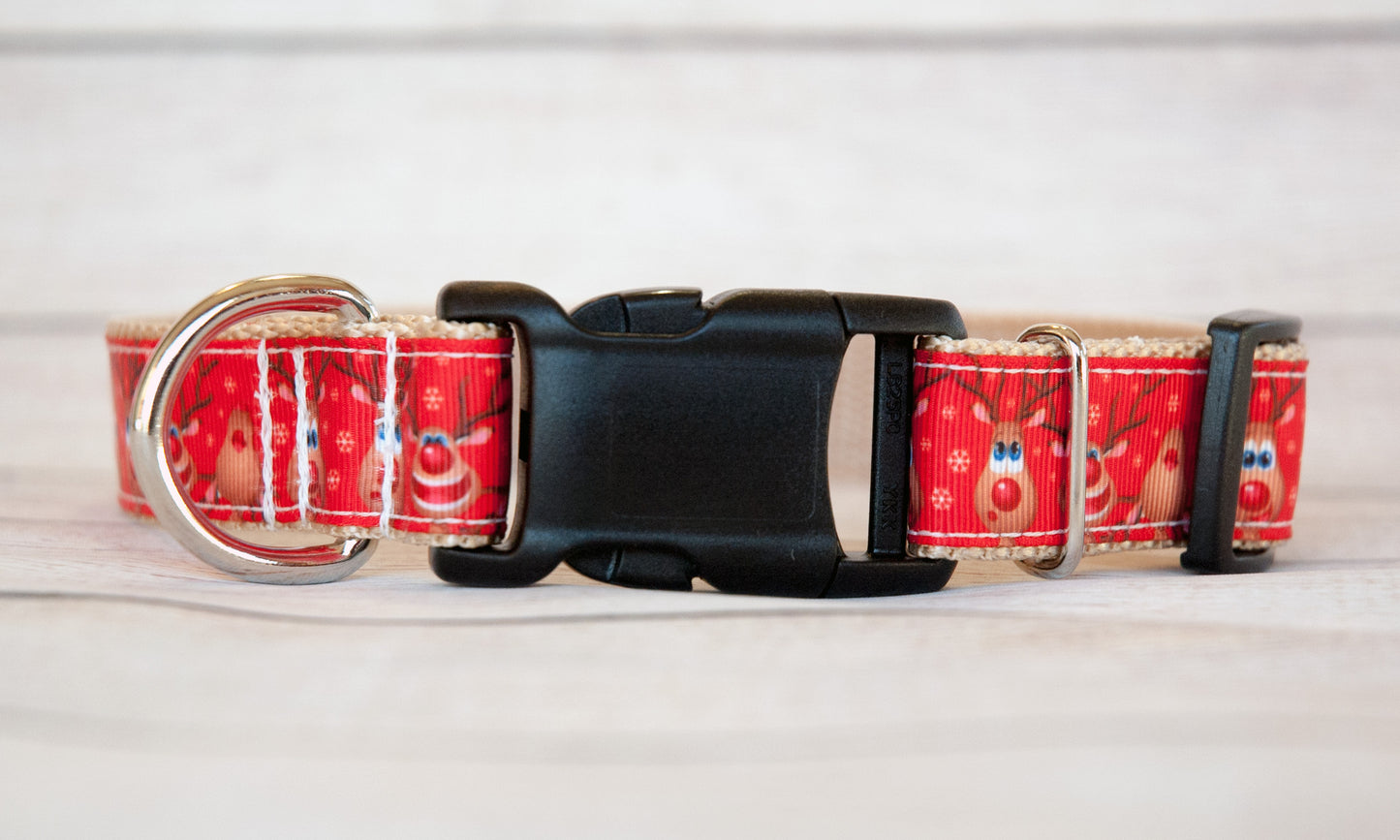 Reindeer faces dog collar, Funny Reindeer dog collar, Christmas dog collar. 1 inch wide