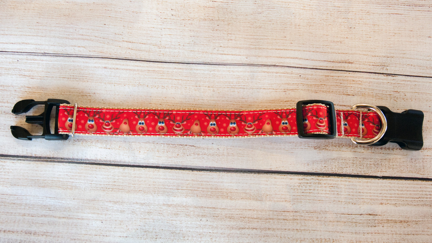 Reindeer faces dog collar, Funny Reindeer dog collar, Christmas dog collar. 1 inch wide