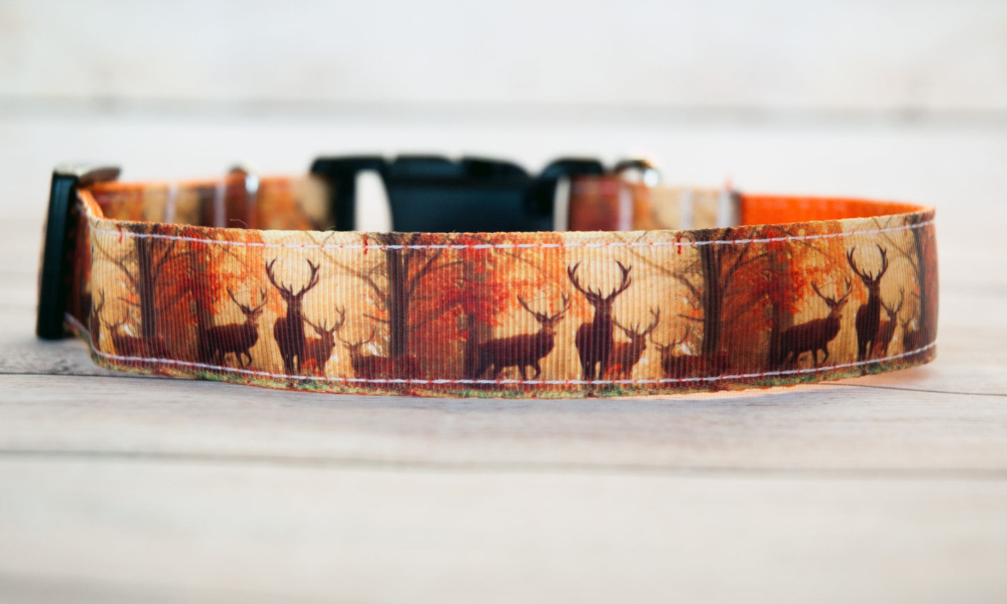 Deer Hunting collar, Elk hunting collar, Hunting dog collar, Nature collar and/or leash. 1" wide