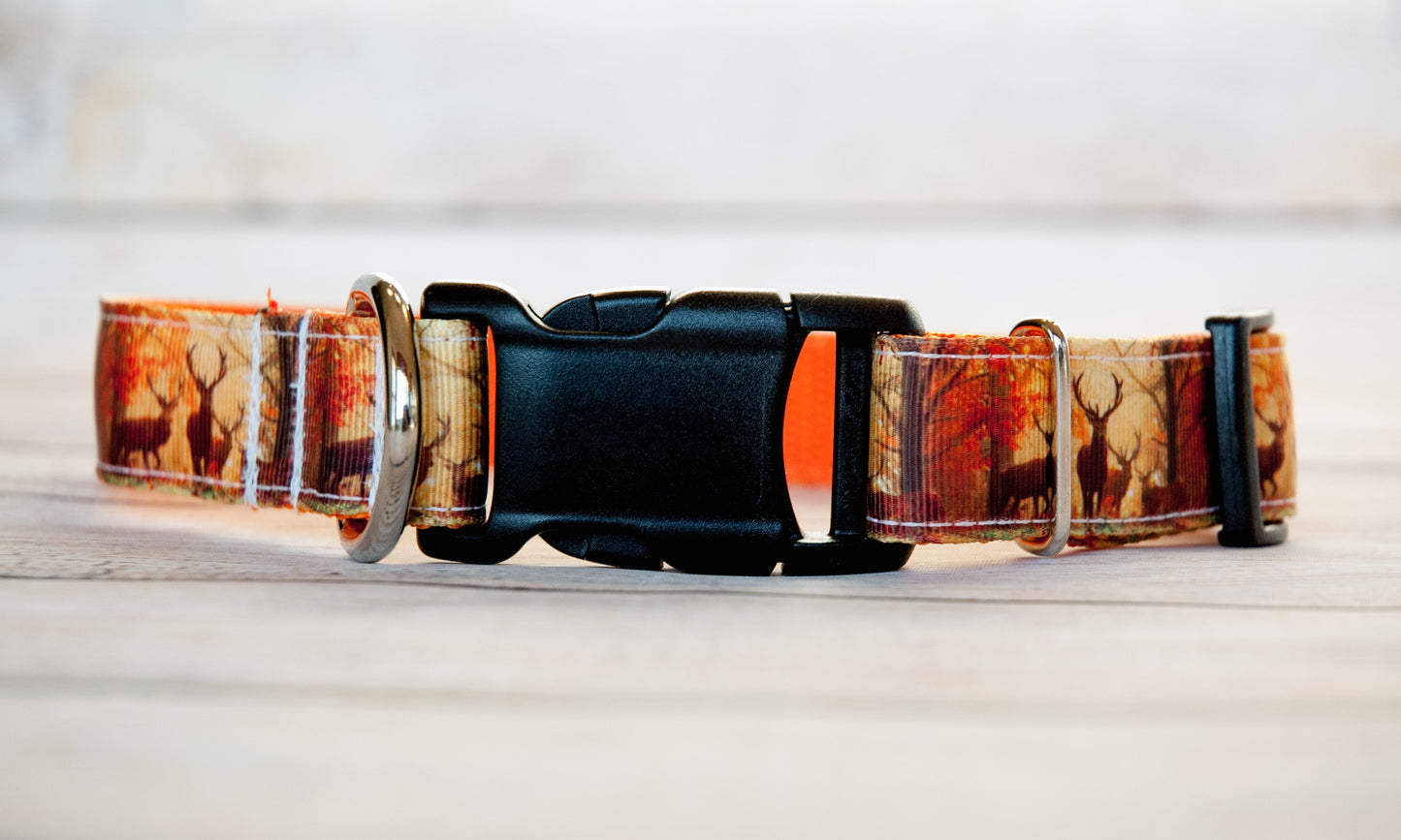Deer Hunting collar, Elk hunting collar, Hunting dog collar, Nature collar and/or leash. 1" wide