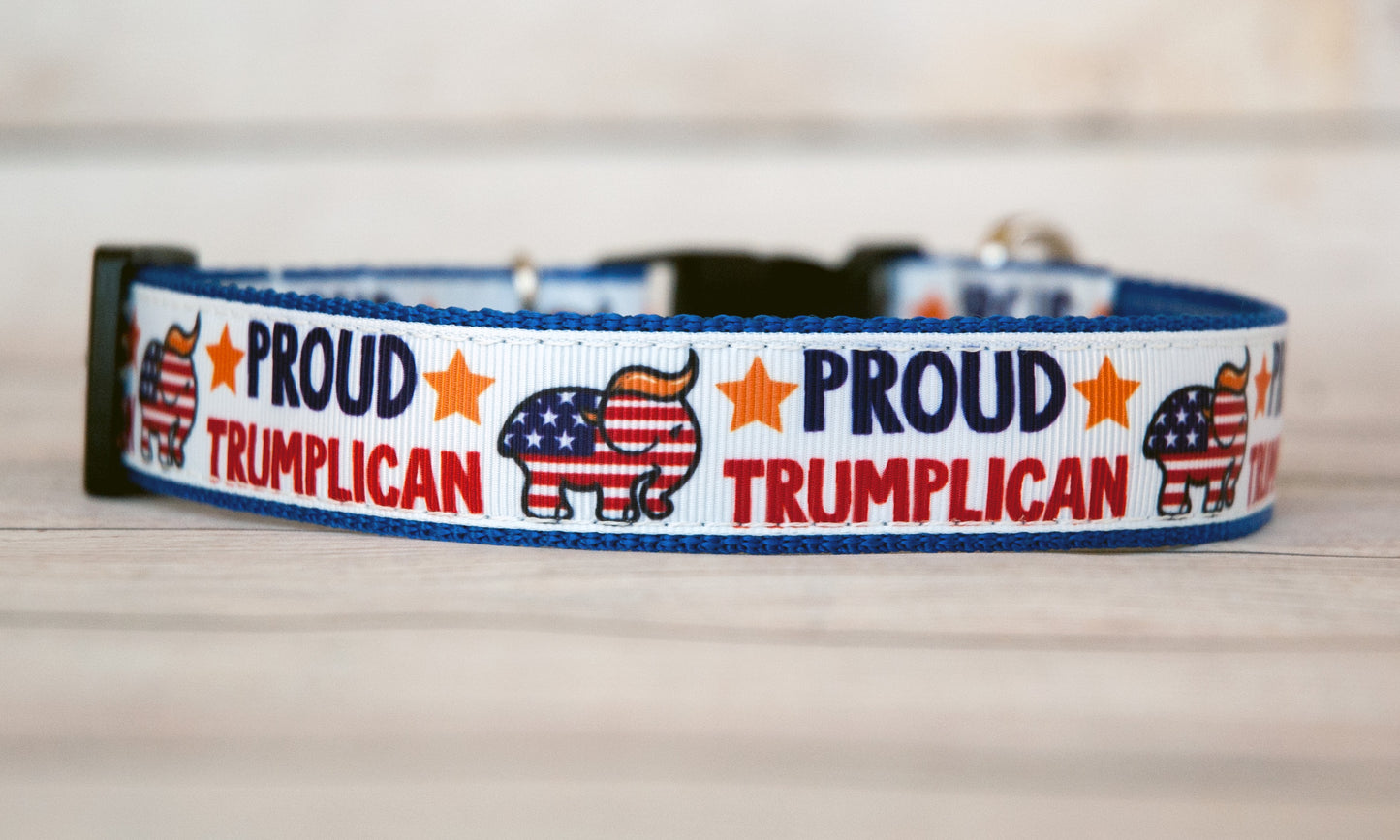 Proud Trumplican dog collar. 1 inch wide