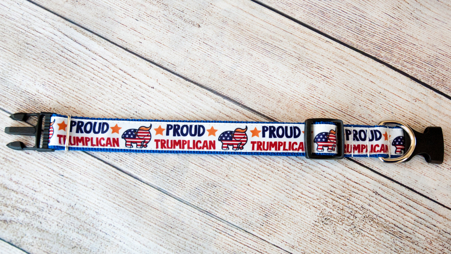 Proud Trumplican dog collar. 1 inch wide