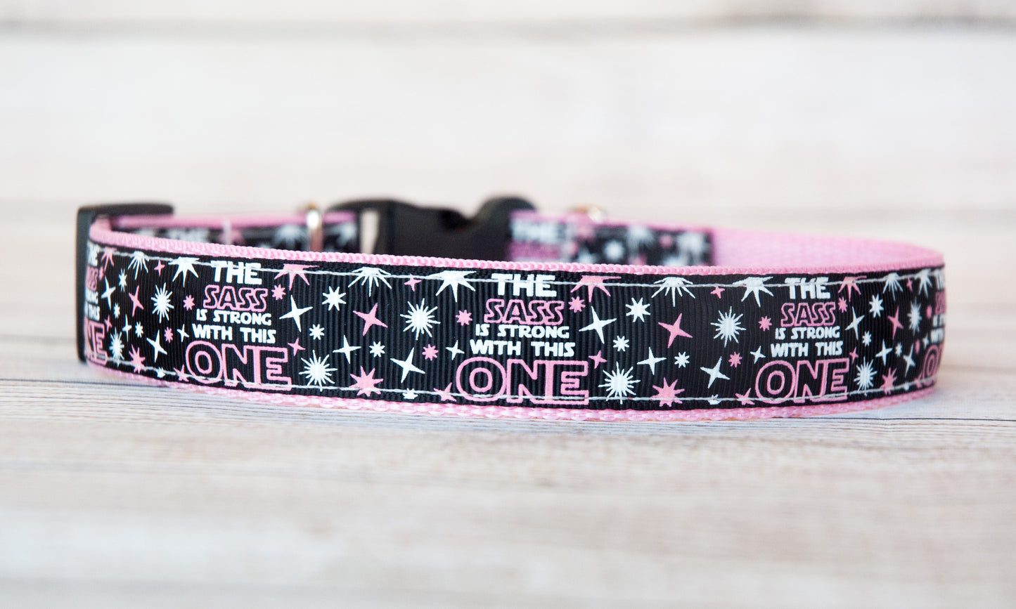 The Sass is Strong with this one dog collar. 1 inch wide