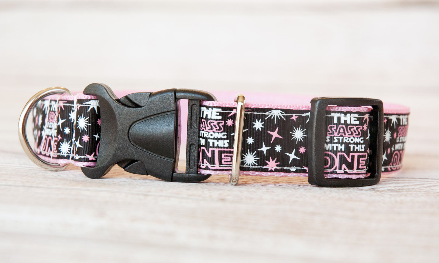 The Sass is Strong with this one dog collar. 1 inch wide