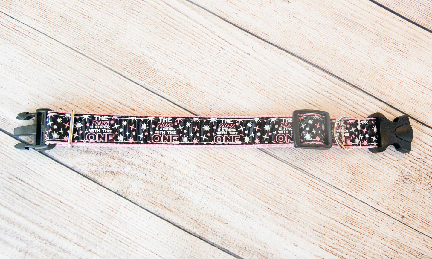 The Sass is Strong with this one dog collar. 1 inch wide