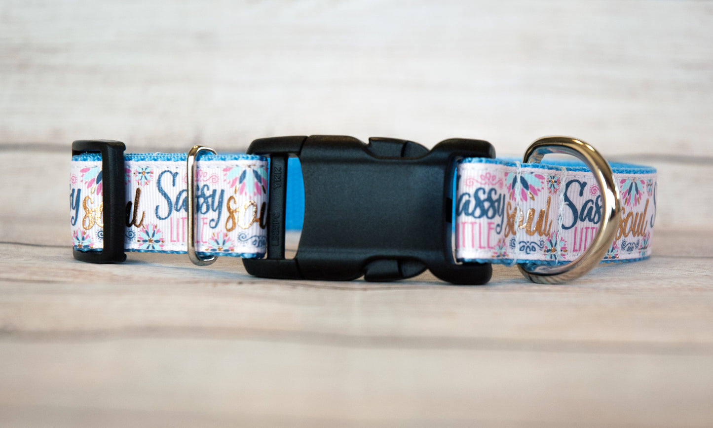 Sassy Little Soul 1" wide dog collar