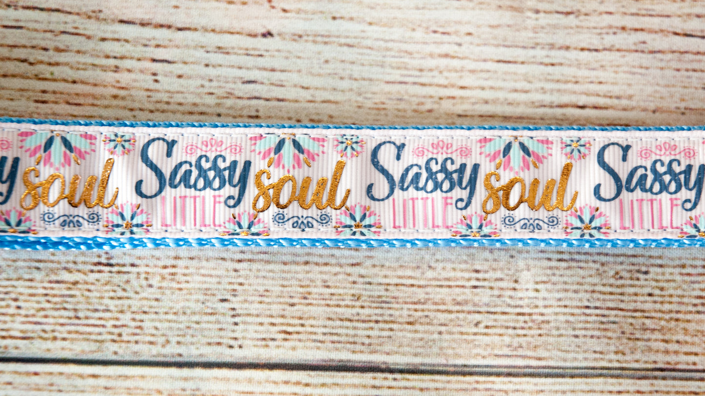 Sassy Little Soul 1" wide dog collar