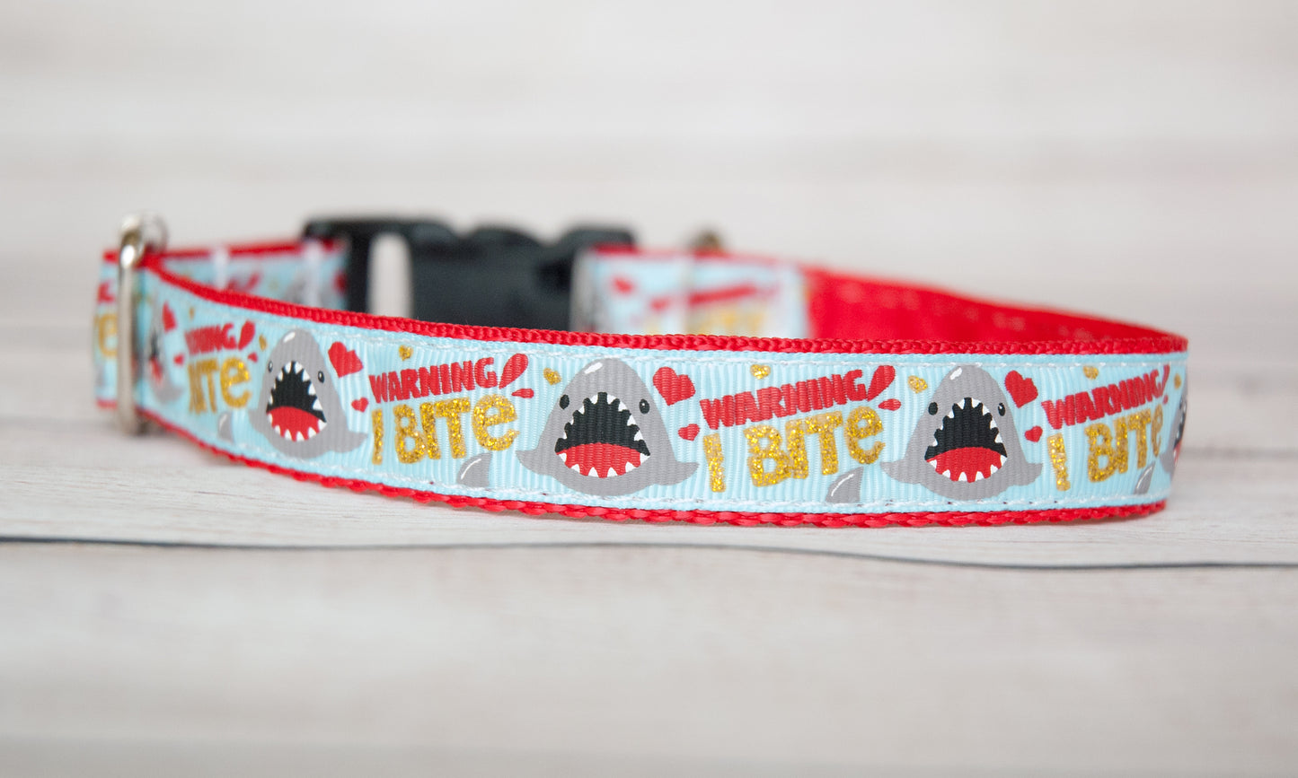 Warning: I Bite! Shark dog collar. 1" wide or 3/4" wide
