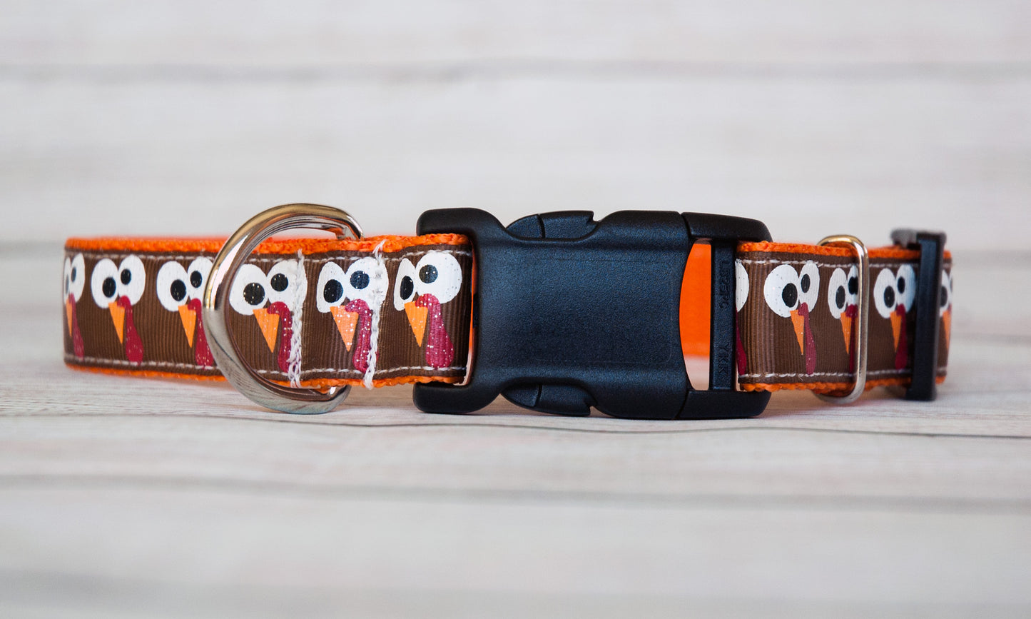 Turkey Googlie-eyes dog collar, Thanksgiving dog collar. 1" wide