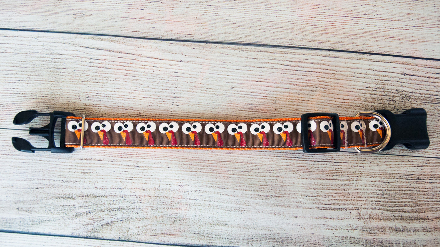 Turkey Googlie-eyes dog collar, Thanksgiving dog collar. 1" wide