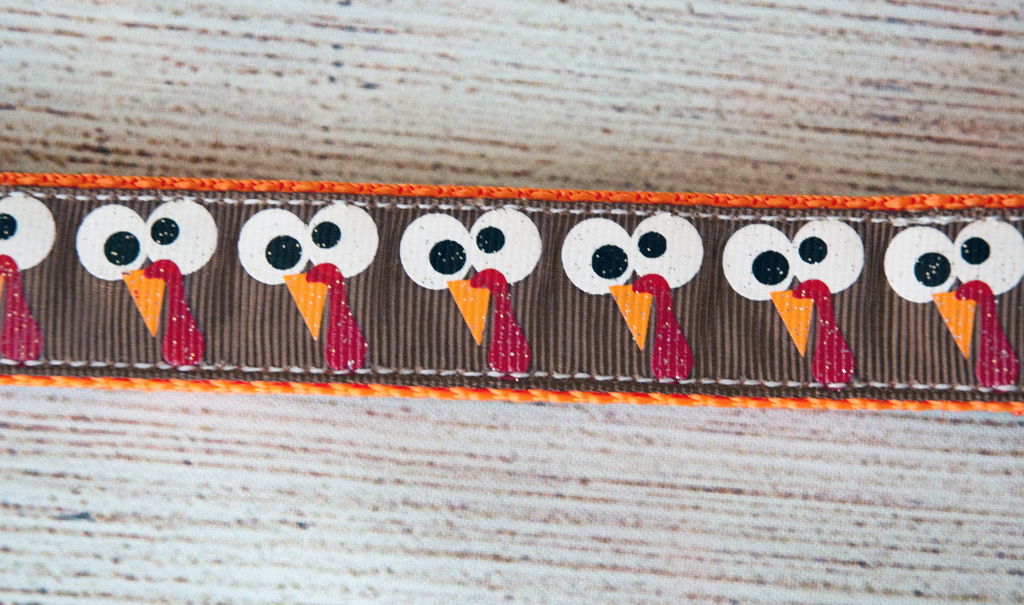 Turkey Googlie-eyes dog collar, Thanksgiving dog collar. 1" wide