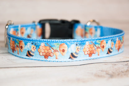 Bees, Hives, and Honeycomb dog collar and/or leash. 1 inch wide