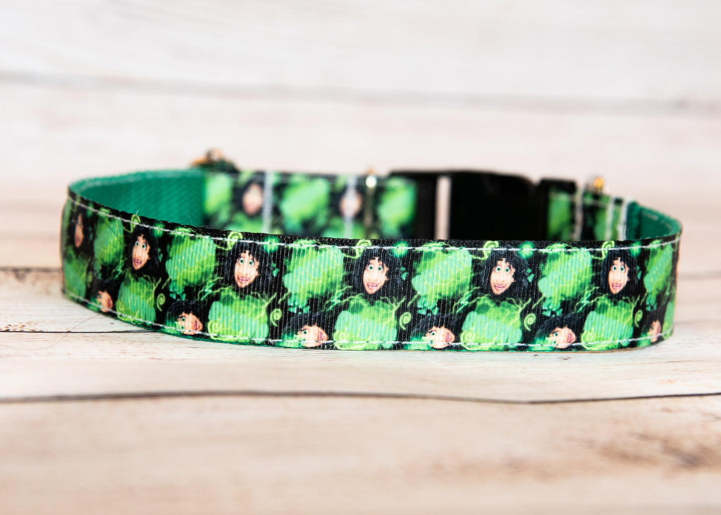 Bruno character dog collar and/or leash . 1 inch wide.