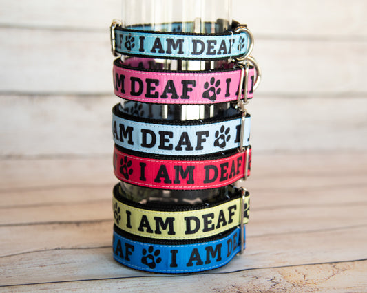 I AM DEAF collar and/or leash. 6 color options, Multiple sizes