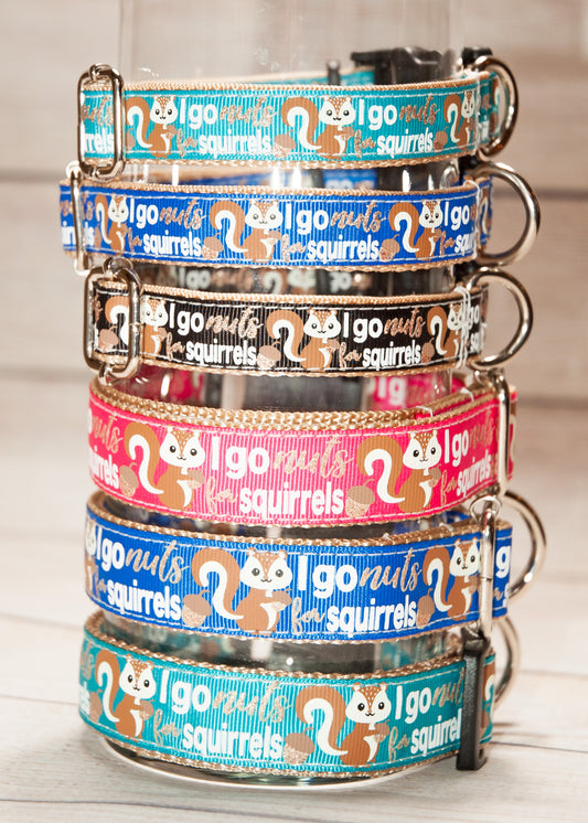 I go nuts for squirrels dog collar and/or leash in Blue, Pink, Jade, or Black options 1" wide