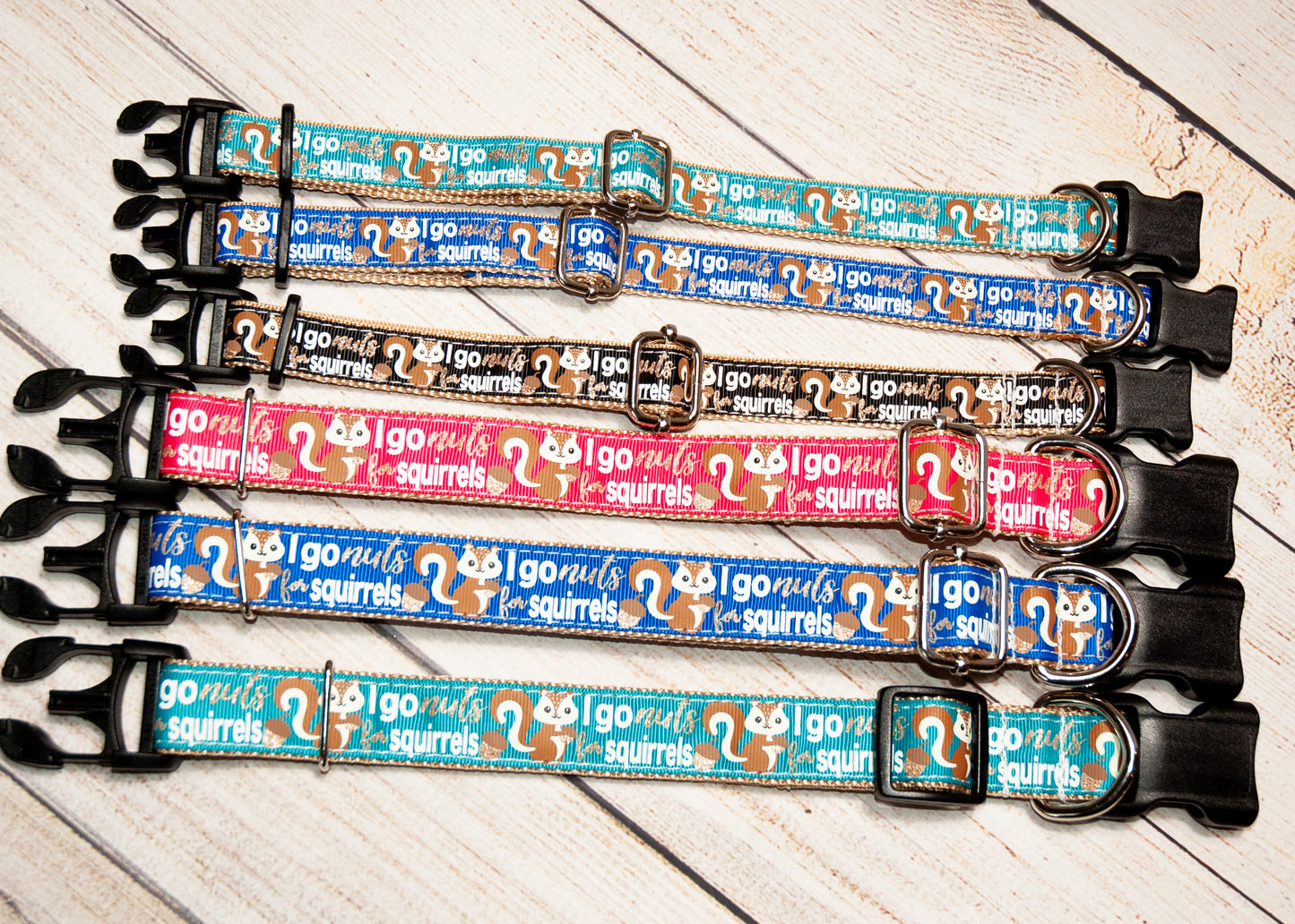 I go nuts for squirrels dog collar and/or leash in Blue, Pink, Jade, or Black options 1" wide