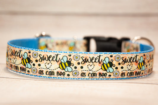 Sweet as Can Bee dog collar and/or Leash. 1 inch wide