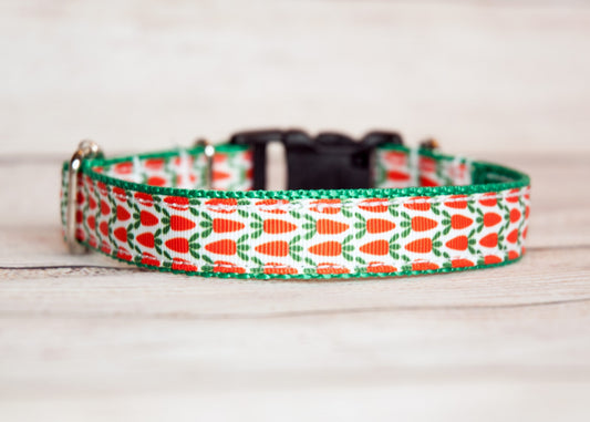 Carrot Dog collar and/or leash. 3/4 inch wide