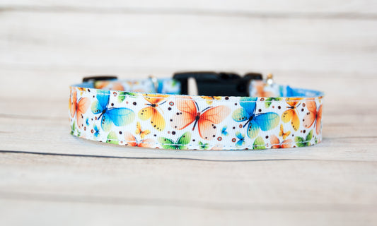Multicolor Butterfly collar 1 inch wide
