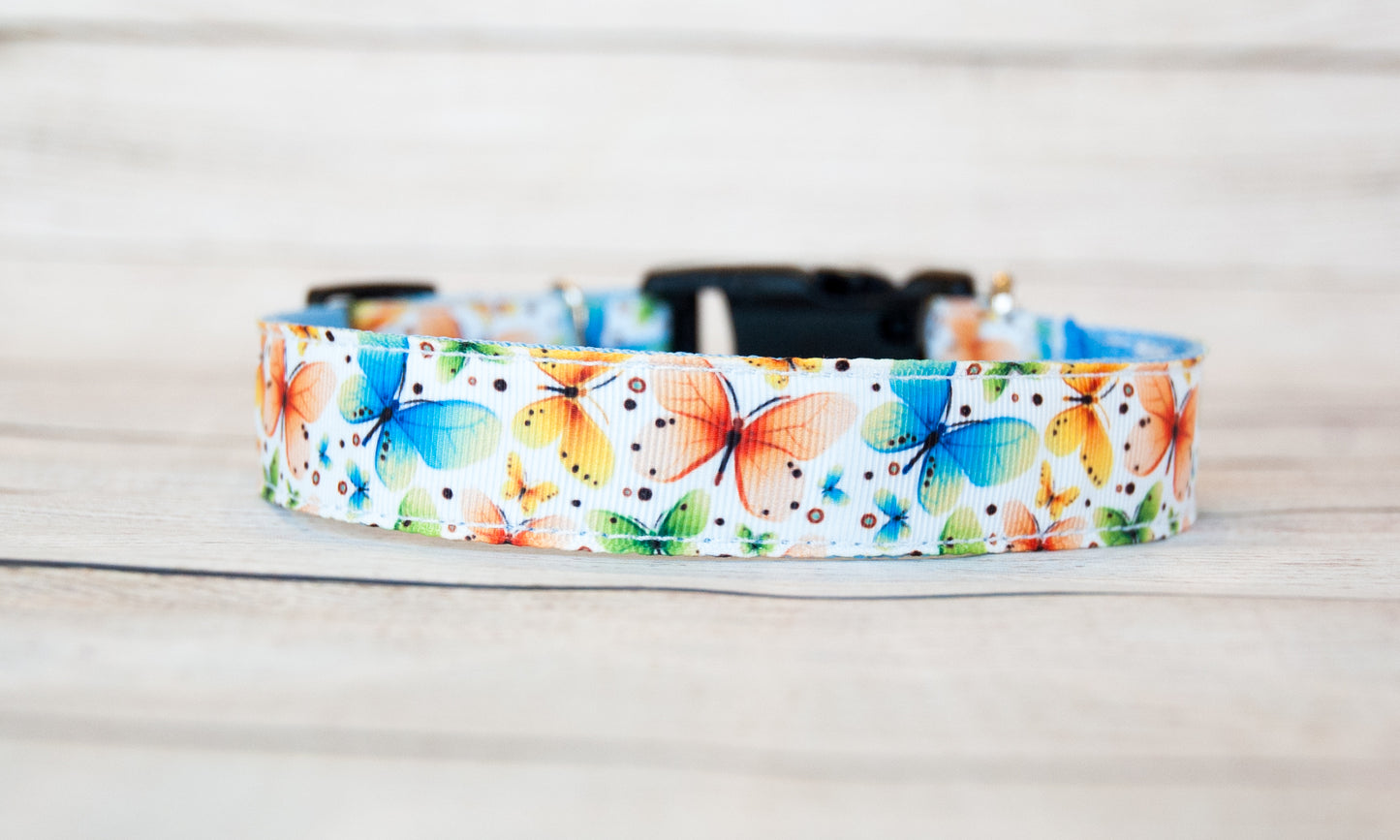 Pretty Butterfly dog or cat collar 1/2" wide