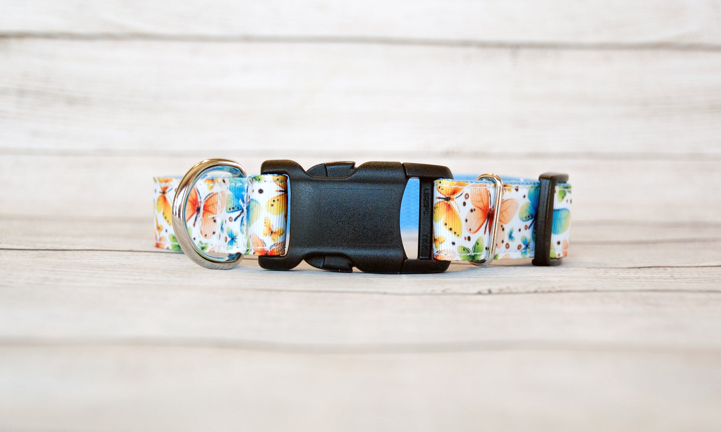 Multicolor Butterfly collar 1 inch wide