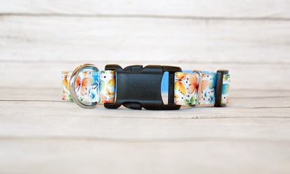 Beautiful Butterfly 3/4" dog collar and/or leash