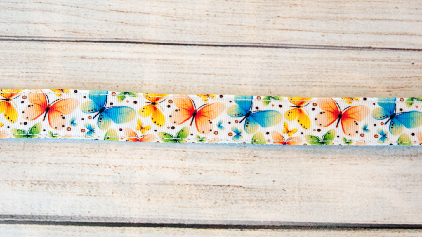 Multicolor Butterfly collar 1 inch wide