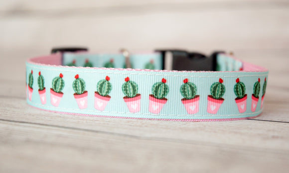 Adorable pink potted green cactus dog collar and/or leash, Cactus dog collar 1