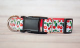 Cherry dog collar and/or leash. 1" wide