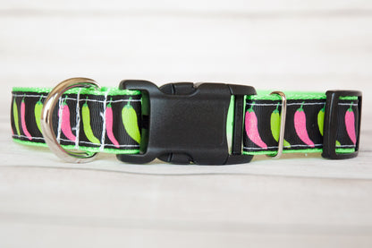 Chili Peppers dog collar, Pepper dog collar and/or leash, 1" wide