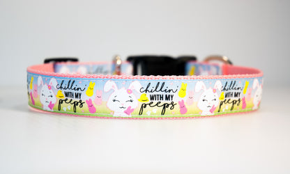Chillin' with my Peeps dog collar. 1 " wide