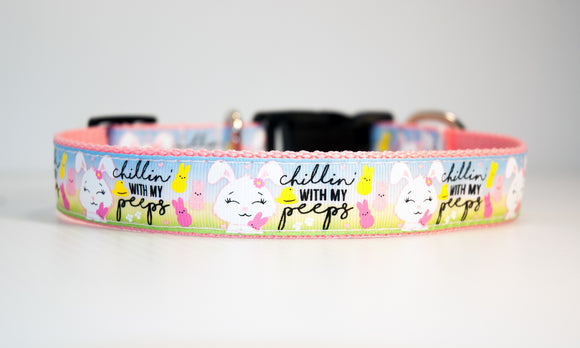 Chillin' with my Peeps dog collar. 1 