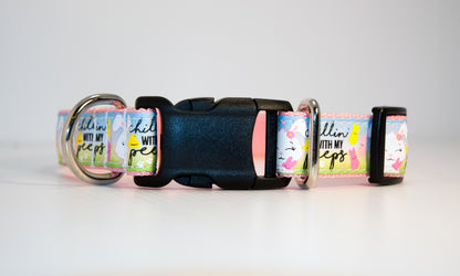 Chillin' with my Peeps dog collar. 1 " wide