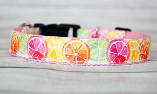 Citrus Slices w/ Lemon, Lime, Orange, Pink Grapefruit dog collar and/or leash. 1"wide