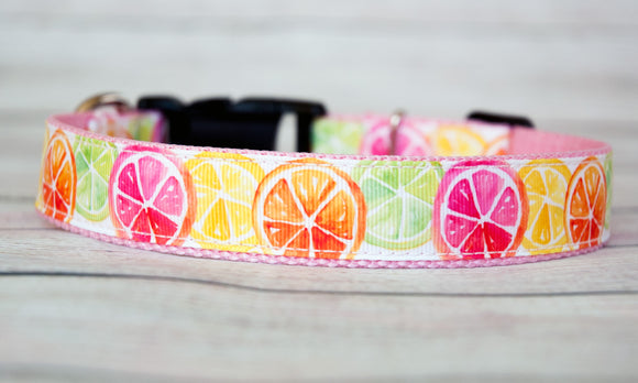 Citrus Slices w/ Lemon, Lime, Orange, Pink Grapefruit dog collar and/or leash. 1