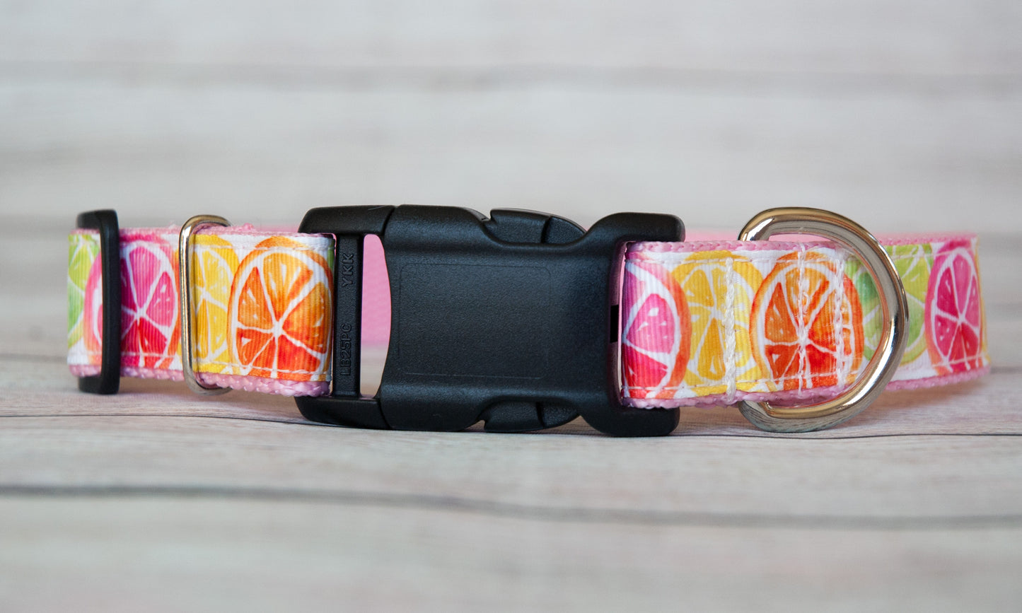 Citrus Slices w/ Lemon, Lime, Orange, Pink Grapefruit dog collar and/or leash. 1"wide