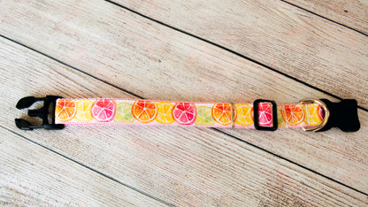 Citrus Slices w/ Lemon, Lime, Orange, Pink Grapefruit dog collar and/or leash. 1"wide