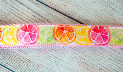 Citrus Slices w/ Lemon, Lime, Orange, Pink Grapefruit dog collar and/or leash. 1"wide