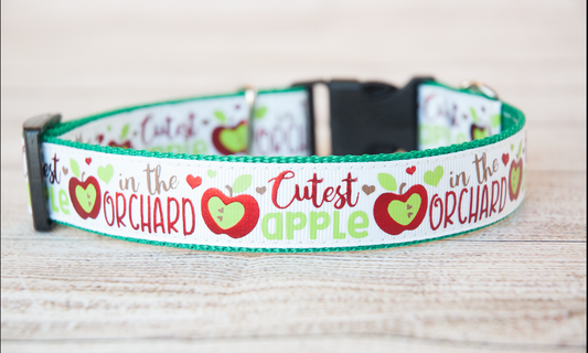 Cutest Apple in the Orchard dog collar and/or leash. 1" wide