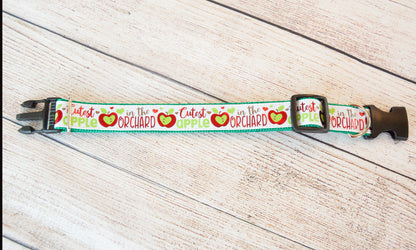 Cutest Apple in the Orchard dog collar and/or leash. 1" wide